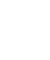 oral statement